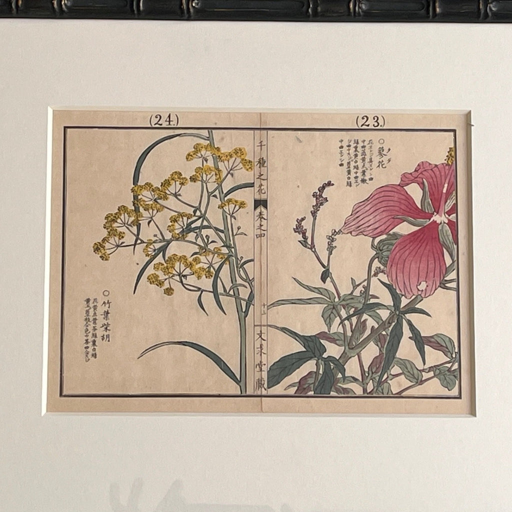 Set of Four Japanese Botanical Woodblock Prints - Detail View - 3