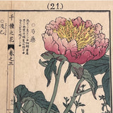 Set of Four Japanese Botanical Woodblock Prints - Detail View - 2