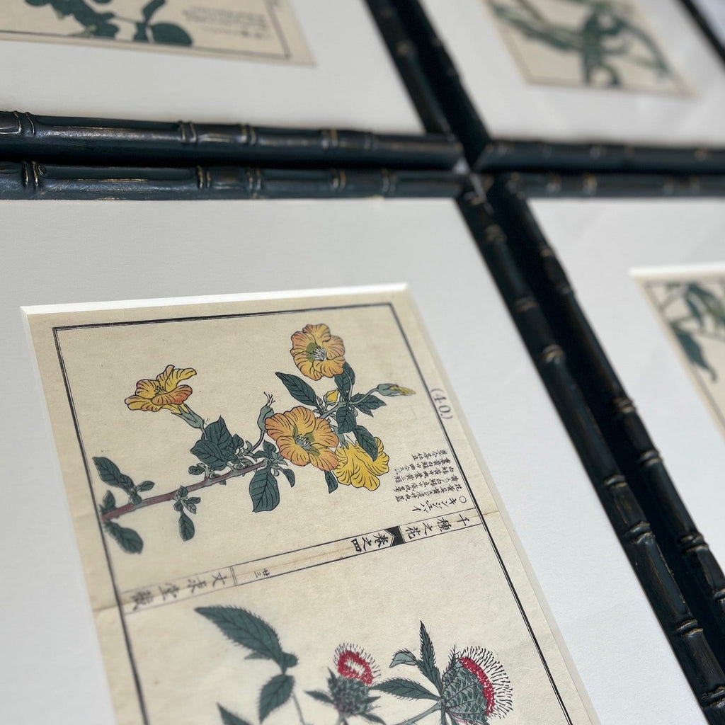 Set of Four Japanese Botanical Woodblock Prints - Detail View - 2