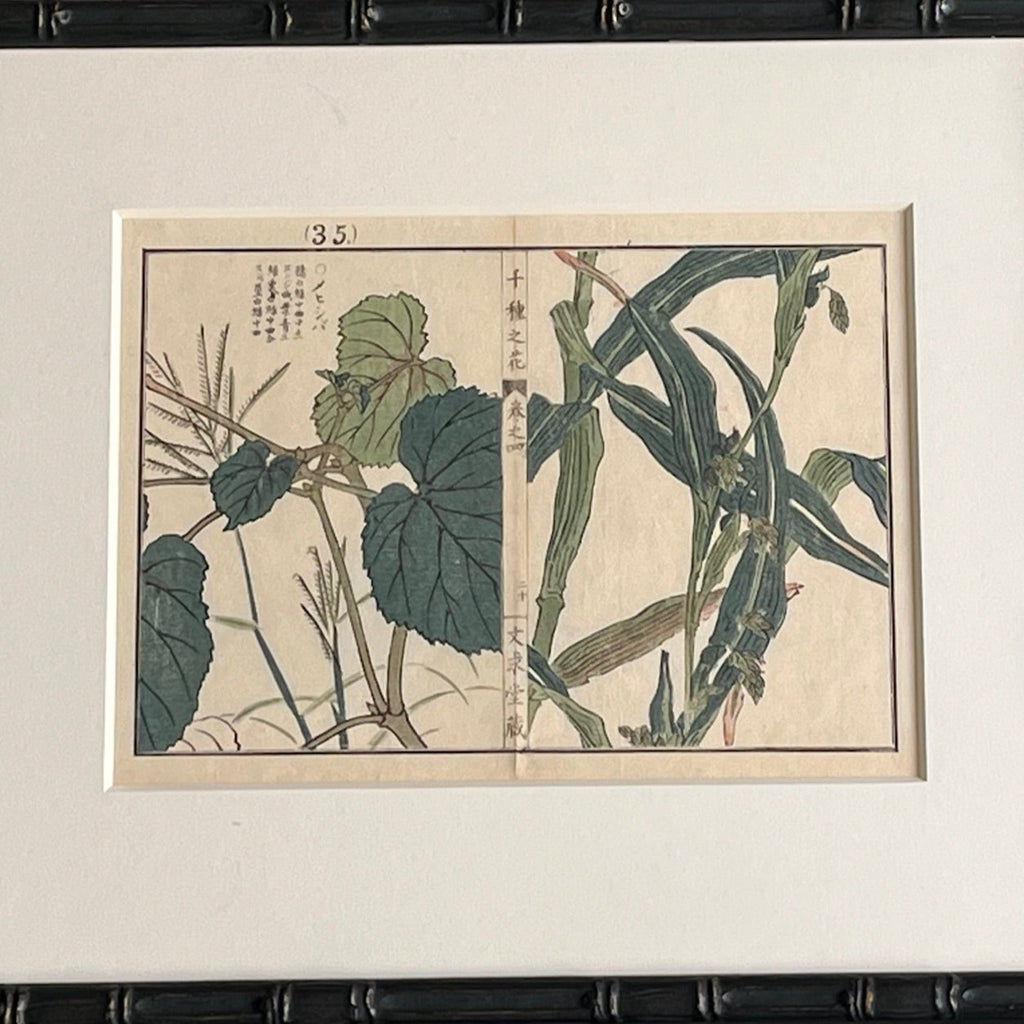 Set of Four Japanese Botanical Woodblock Prints - Detail View - 3