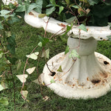 Pair of Good Sized Victorian Cast Iron Tazza Garden Urns - Main View - 3